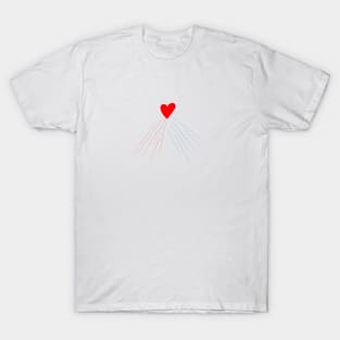 Divine Mercy T-Shirt